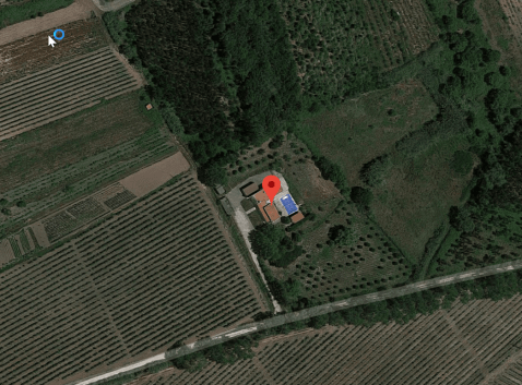 Ligging villa Portugal: Midden tussen de wijngaarden met veel privacy