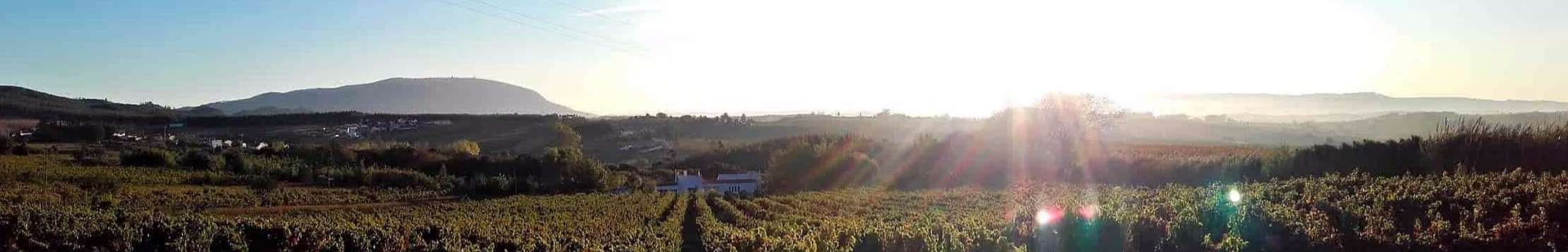 LUXE VRIJSTAANDE VILLA PORTUGAL MET GROOT ZWEMBAD. NABIJ LISSABON, TUSSEN DE WIJNGAARDEN