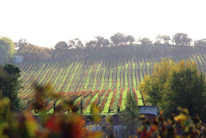 Quinta do Monte d'Oiro